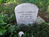 image of grave number 694166